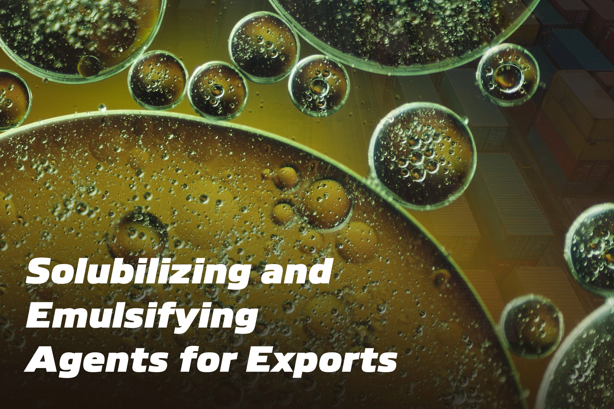 API Exports